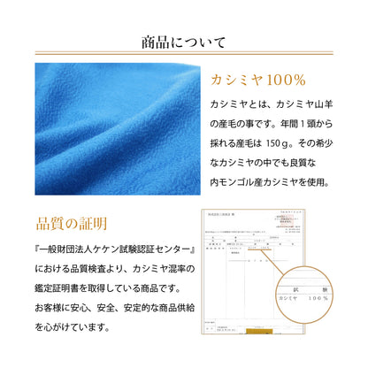 Attivo® (アッティーヴォ) カシミヤ 大判マフラー スカーフ レディース  [全14色] [ALC0919040]