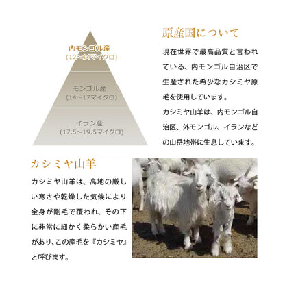 Attivo® (アッティーヴォ) カシミヤ 大判マフラー スカーフ レディース  [全14色] [ALC0919040]