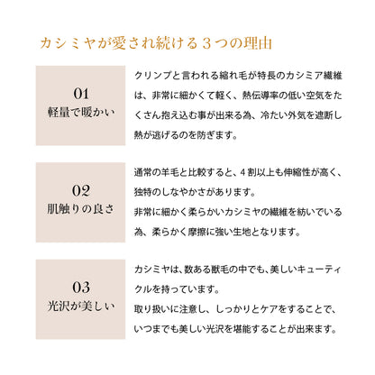 Attivo® (アッティーヴォ) カシミヤ 大判マフラー スカーフ レディース  [全14色] [ALC0919040]