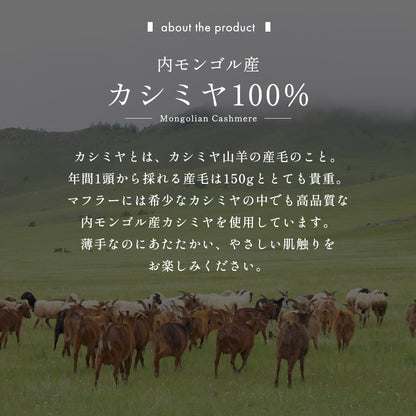 Attivo® (アッティーヴォ) カシミヤ マフラー チェック柄 レディース [全28色] [ATCM02]