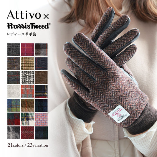 Attivo (アッティーヴォ) ×Harris Tweed(ハリスツイード) 革手袋 レディース [全23色] [ATHT04]