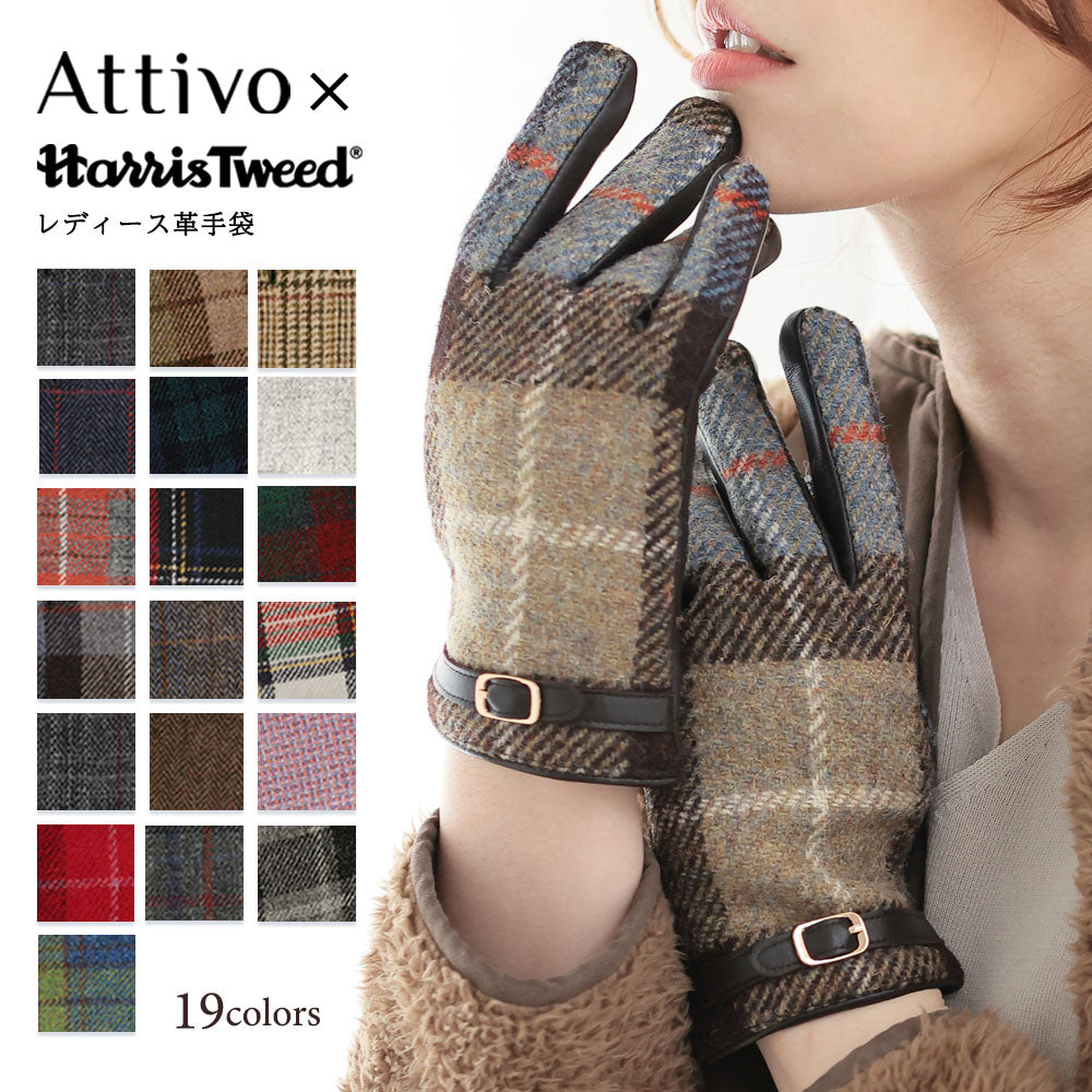 Attivo (アッティーヴォ) ×Harris Tweed(ハリスツイード) 革手袋 レディース [全19色] [ATHT05]