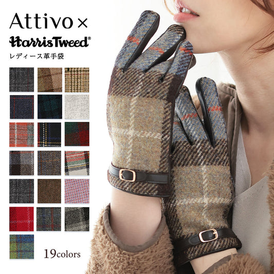 Attivo (アッティーヴォ) ×Harris Tweed(ハリスツイード) 革手袋 レディース [全19色] [ATHT05]