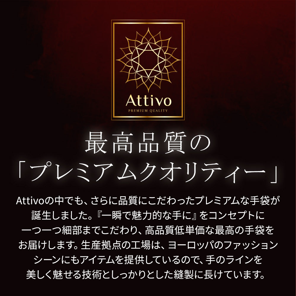 Attivo® (アッティーヴォ) 革手袋 メンズ [全4色] [ATLC003]