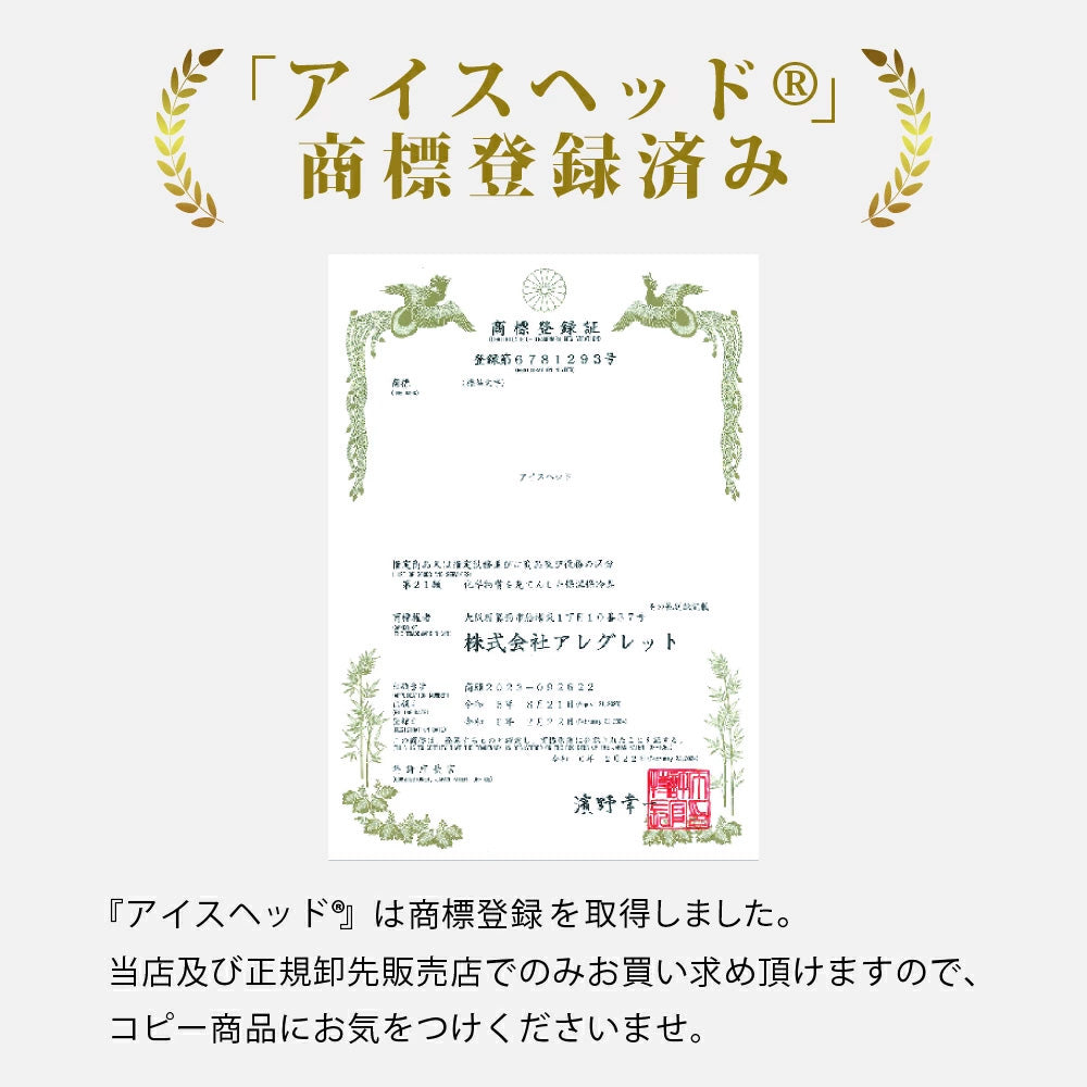めちゃクール アイスヘッド（登録商標）22℃