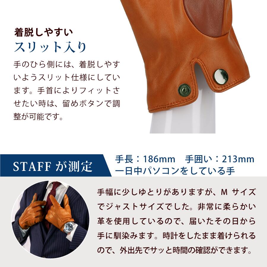 Attivo (アッティーヴォ) 革手袋 メンズ [全7色] [ATLC003]